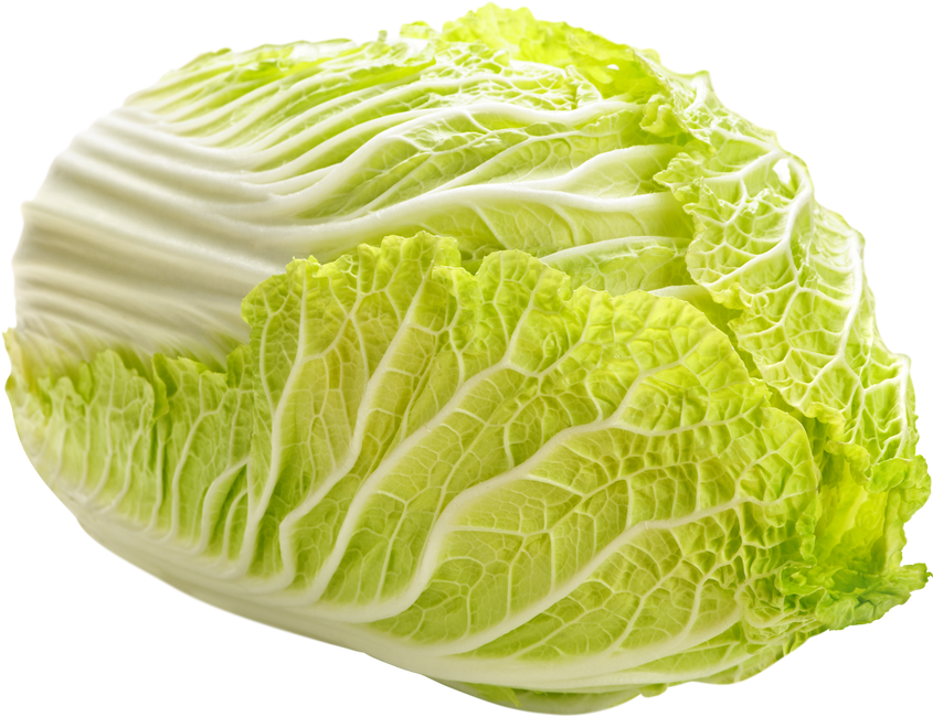 Chinese Cabbage Cutout