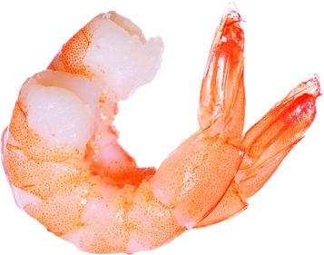 Shrimps